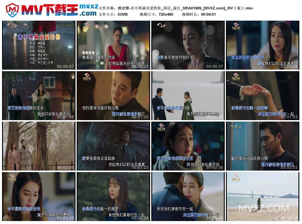 魏建耀-舍不得最亲爱的你_国语_流行_MEA01989